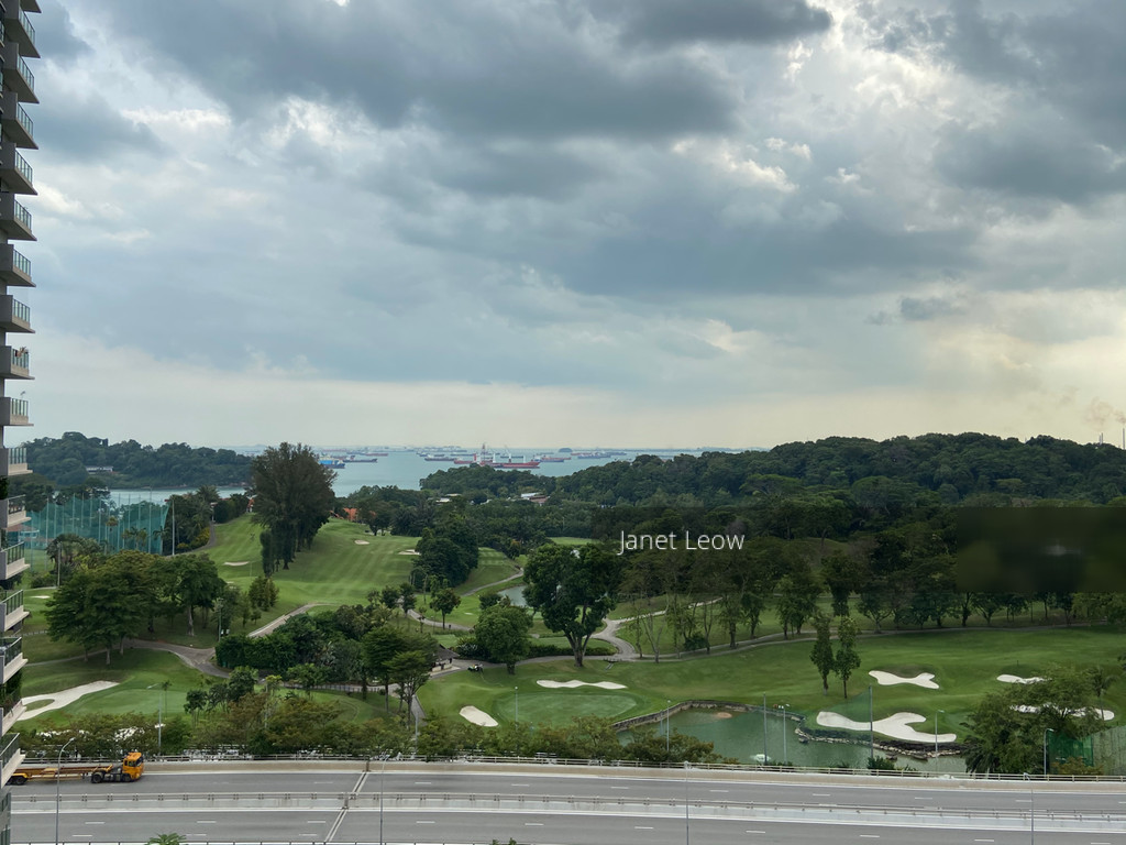 Skyline Residences (D4), Condominium #217738071